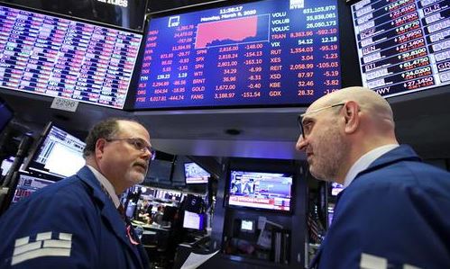 Market plunge halts trading