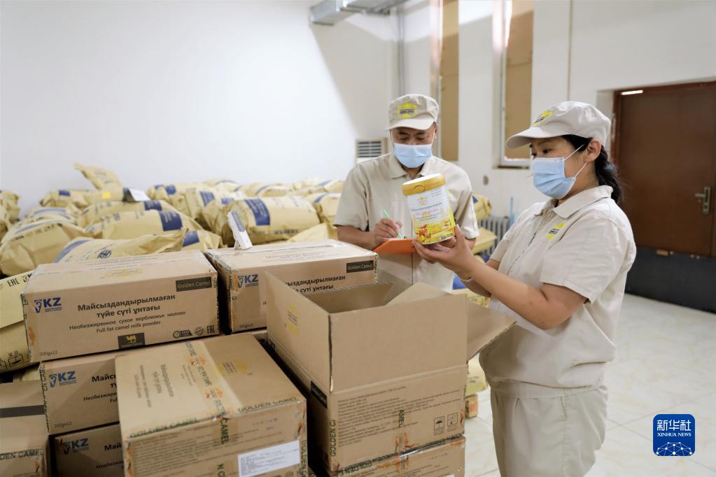 综述：共建“一带一路”为中哈合作注入新的生机与活力