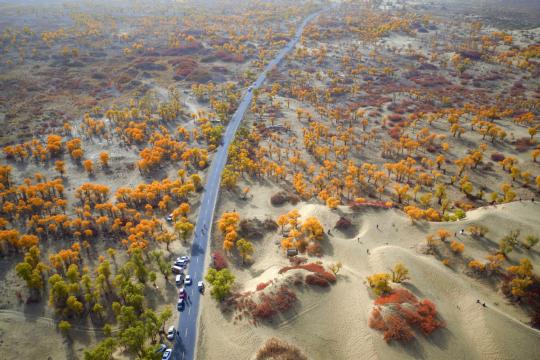 'Plant bank' gathers drought-resistant species