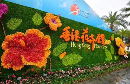 香港花卉展维园揭幕 花坛以许愿池为灵感打造