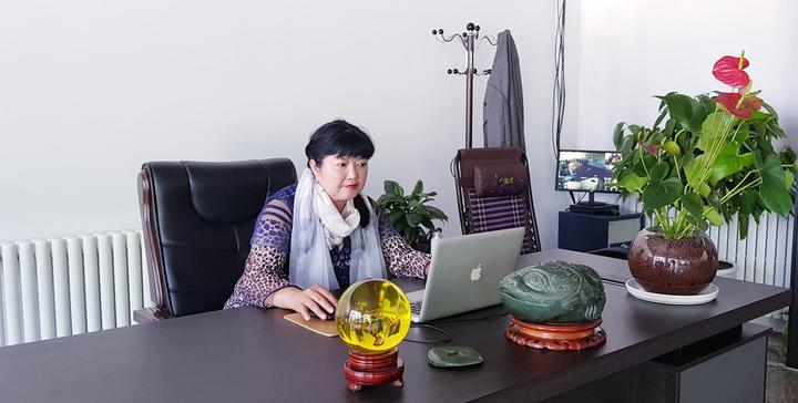 创业致富领头雁李洁：牛羊为根基 倡导绿色有机化