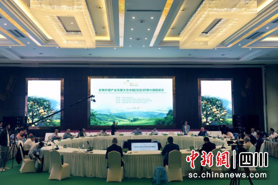 中国柠檬小镇圆桌会在四川安岳举行 多国专家共谋柠檬产业发展