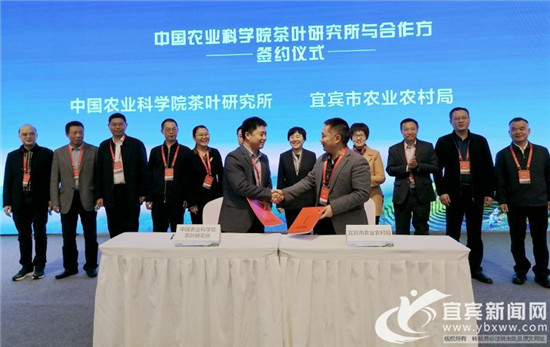 宜宾市茶产业研究院揭牌仪式举行 宜宾市茶产业研究院揭牌仪式举行