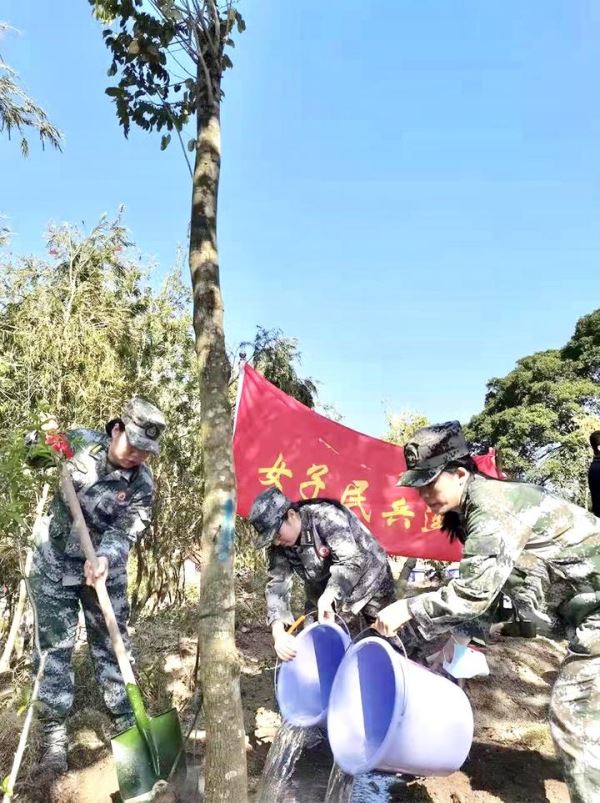 巾帼添新绿丨共建海岛绿色家园