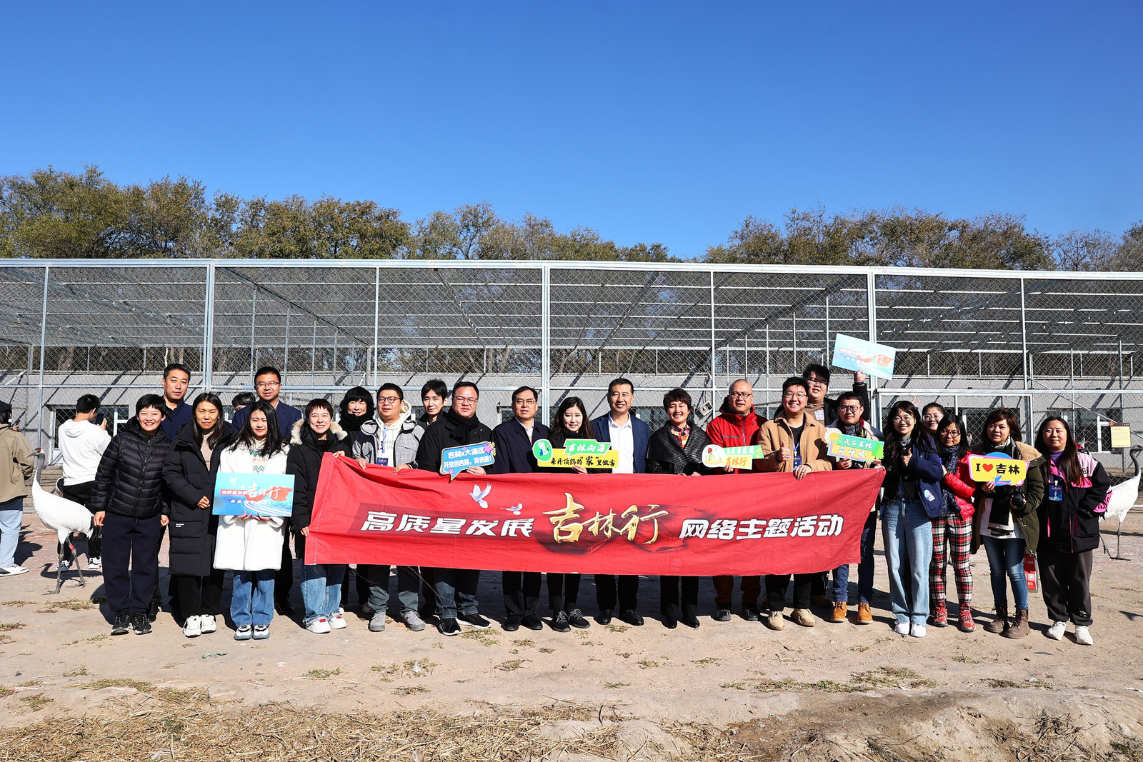 高质量发展吉林行∣吉林向海国家级自然保护区：晴空一鹤排云上，便引诗情到碧霄
